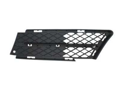 Ventilation Grilles, bumper BLIC 6502-07-0062995P
