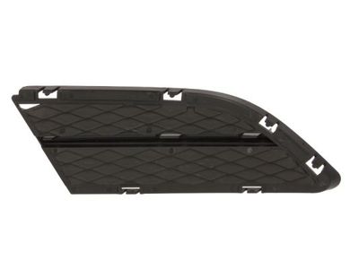 Ventilation Grilles, bumper BLIC 6502-07-0062995PP