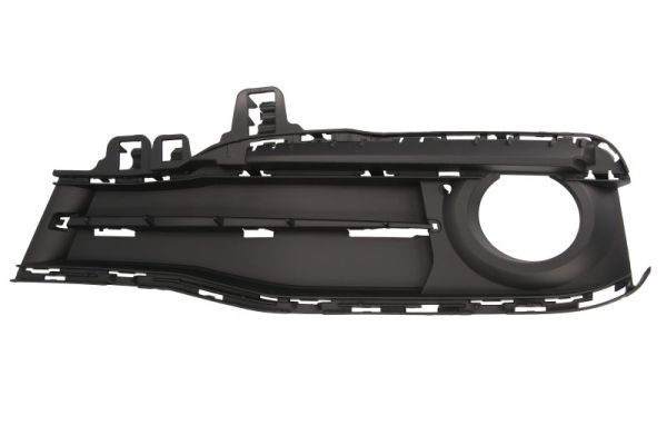BLIC 6502-07-0063915SP Trim/Protection Strip, radiator grille