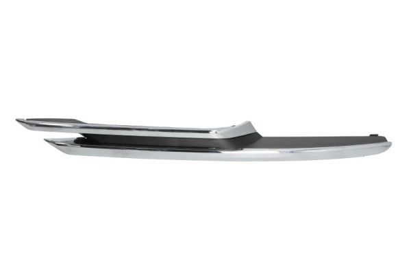 BLIC 6502-07-00639914P Trim/Protection Strip, bumper