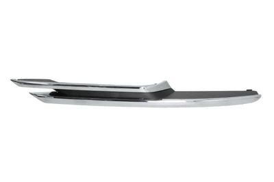 Trim/Protection Strip, bumper BLIC 6502-07-00639914P