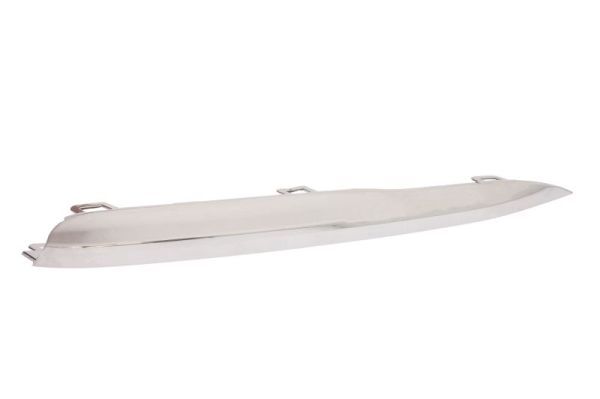 BLIC 6502-07-00639918LP Trim/Protection Strip, bumper