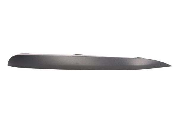 BLIC 6502-07-00639918P Trim/Protection Strip, bumper
