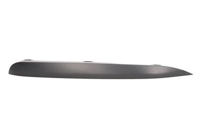 Trim/Protection Strip, bumper BLIC 6502-07-00639918P