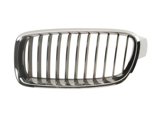 BLIC 6502-07-0063991P Radiator Grille