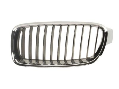 Radiator Grille BLIC 6502-07-0063991P
