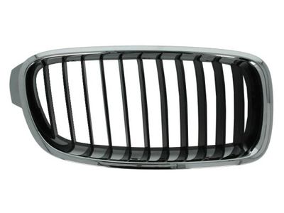 Radiator Grille BLIC 6502-07-0063992P
