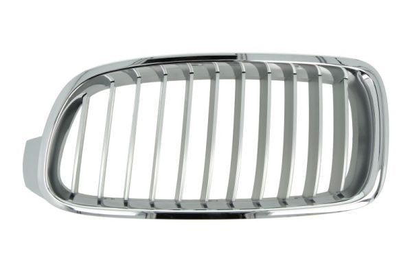 BLIC 6502-07-0063993P Radiator Grille