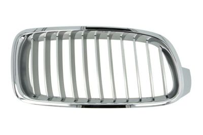 Radiator Grille BLIC 6502-07-0063994P