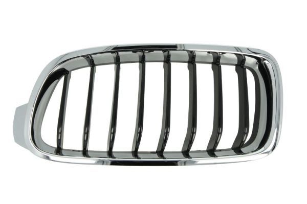 BLIC 6502-07-0063995P Radiator Grille