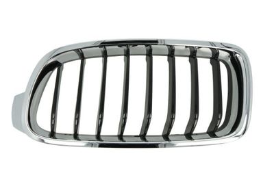 Radiator Grille BLIC 6502-07-0063995P
