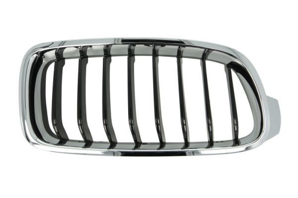 BLIC 6502-07-0063996P Radiator Grille