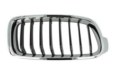 Radiator Grille BLIC 6502-07-0063996P