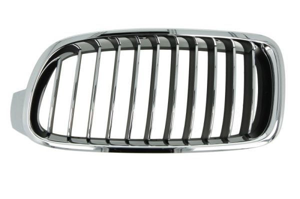 BLIC 6502-07-0063997P Radiator Grille