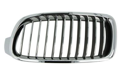 Radiator Grille BLIC 6502-07-0063997P