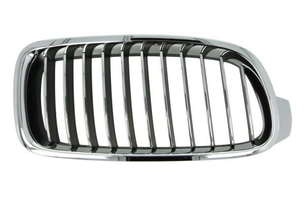 BLIC 6502-07-0063998P Radiator Grille