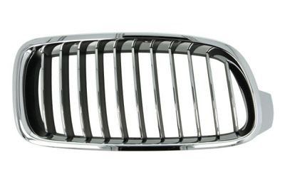 Radiator Grille BLIC 6502-07-0063998P