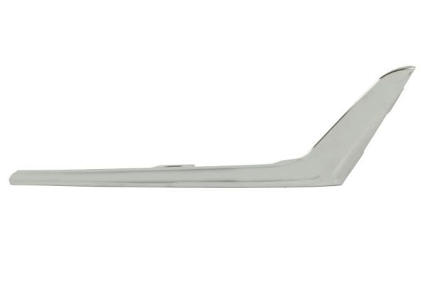BLIC 6502-07-0064913P Trim/Protection Strip, bumper