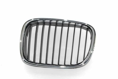 Radiator Grille BLIC 6502-07-0065991P