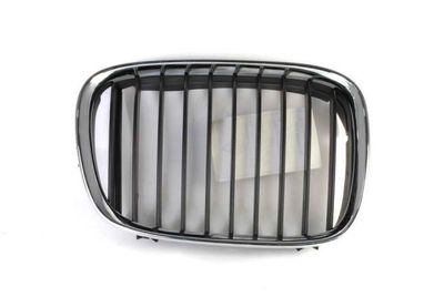 Radiator Grille BLIC 6502-07-0065992P
