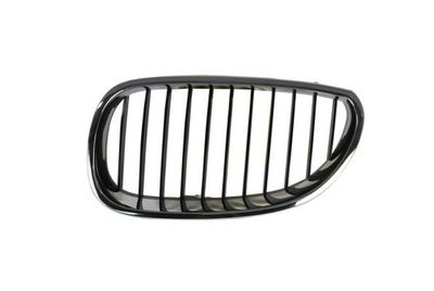 Radiator Grille BLIC 6502-07-0066991P