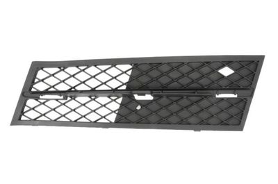 Ventilation Grilles, bumper BLIC 6502-07-0067917P