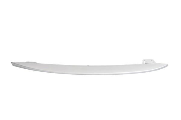 BLIC 6502-07-0067927P Trim/Protection Strip, bumper