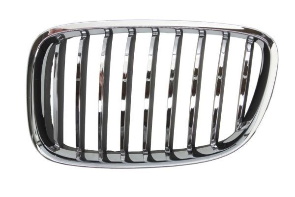 BLIC 6502-07-00679911P Radiator Grille