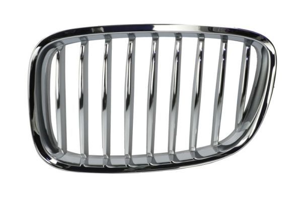 BLIC 6502-07-0067991GP Radiator Grille