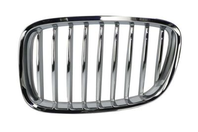 Radiator Grille BLIC 6502-07-0067991GP