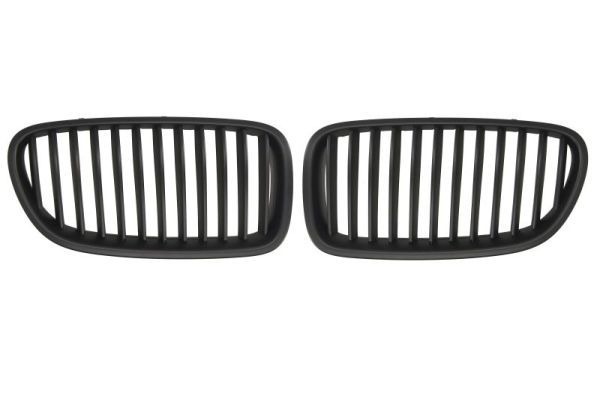 BLIC 6502-07-0067991KP Radiator Grille