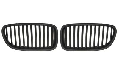 Radiator Grille BLIC 6502-07-0067991KP