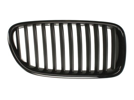 BLIC 6502-07-0067991P Radiator Grille