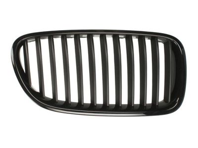 Radiator Grille BLIC 6502-07-0067991P