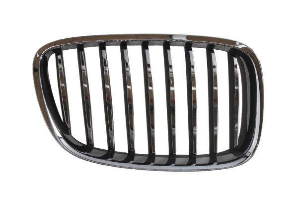 BLIC 6502-07-00679922P Radiator Grille