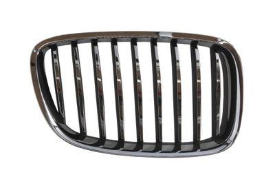 Radiator Grille BLIC 6502-07-00679922P