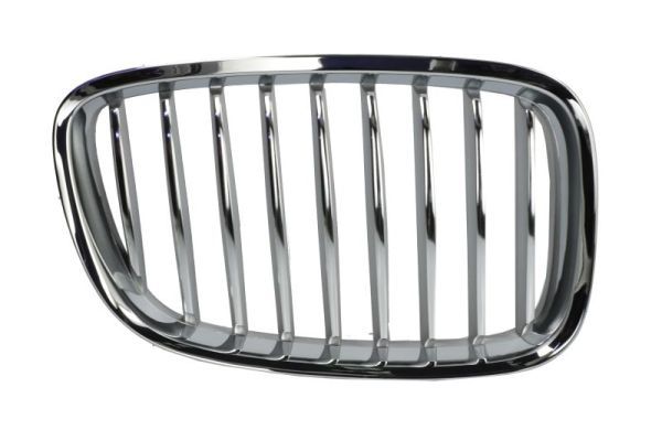 BLIC 6502-07-0067992GP Radiator Grille
