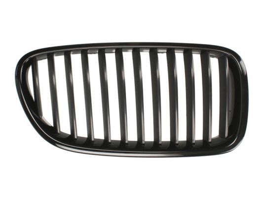 BLIC 6502-07-0067992P Radiator Grille