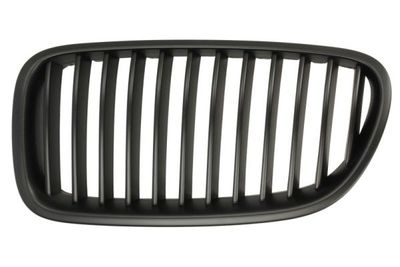 Radiator Grille BLIC 6502-07-0067993BP