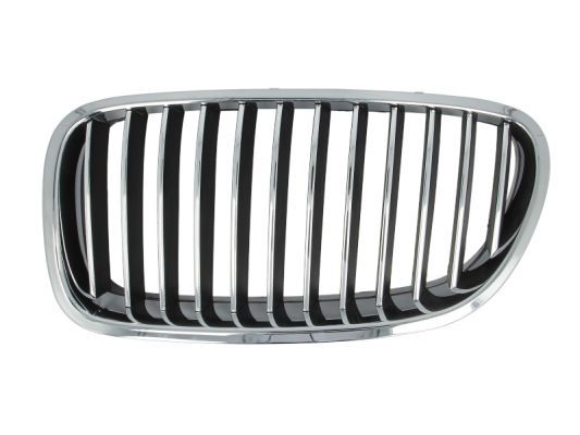 BLIC 6502-07-0067993P Radiator Grille