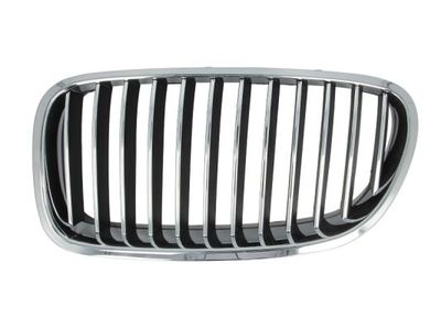 Radiator Grille BLIC 6502-07-0067993P