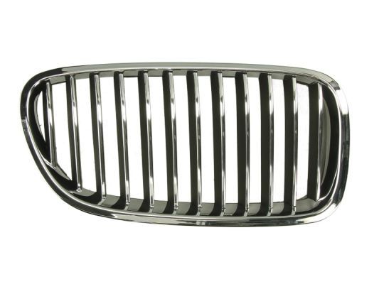 BLIC 6502-07-0067994P Radiator Grille