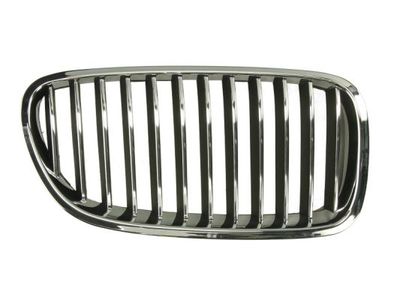 Radiator Grille BLIC 6502-07-0067994P