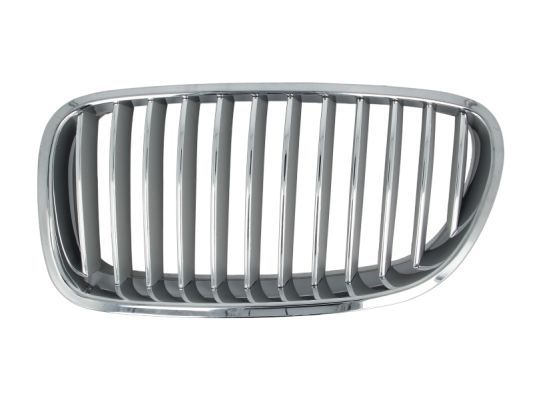 BLIC 6502-07-0067995P Radiator Grille