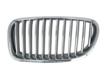Radiator Grille BLIC 6502-07-0067995P