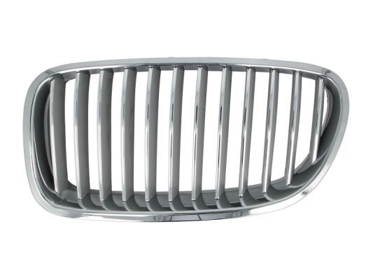 BLIC 6502-07-0067996P Radiator Grille
