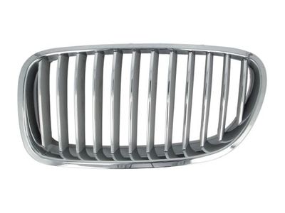 Radiator Grille BLIC 6502-07-0067996P