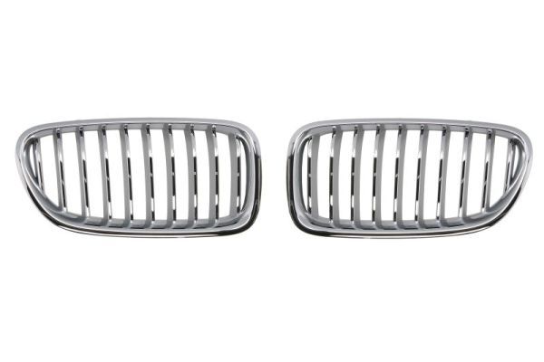 BLIC 6502-07-0067997BP Radiator Grille