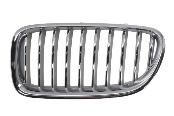 BLIC 6502-07-0067997CP Radiator Grille