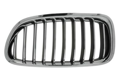 Radiator Grille BLIC 6502-07-0067997P